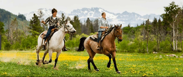 Confident plus-size woman riding Northamptonshire a horse through a field with a smile on her face.